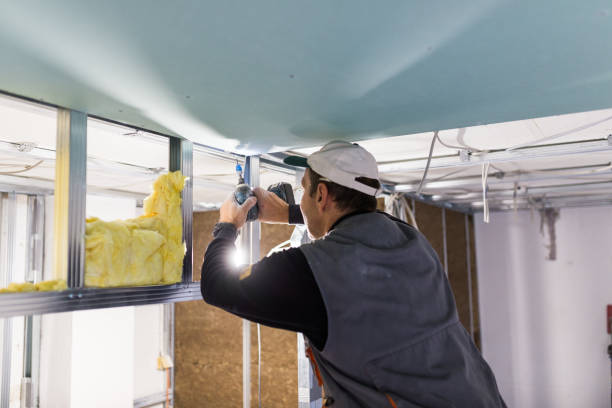 Best Insulation Inspection Services  in Buena Park, CA