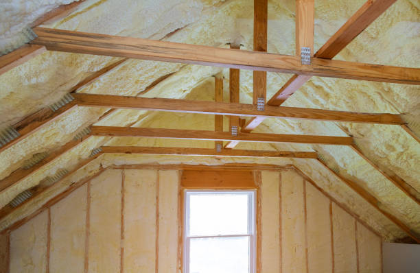 Best Professional Insulation Contractor  in Buena Park, CA