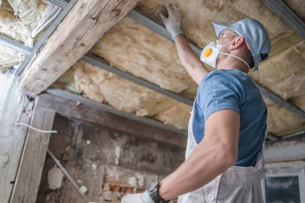 Best Insulation Removal Services  in Buena Park, CA