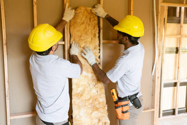 Best Insulation Repair Services  in Buena Park, CA